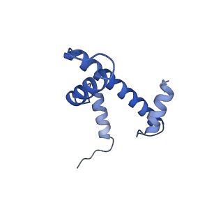 33174_7xfj_A_v1-0
Structure of nucleosome-AAG complex (T-50I, post-catalytic state)