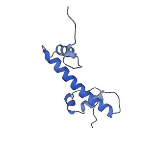 33174_7xfj_C_v1-0
Structure of nucleosome-AAG complex (T-50I, post-catalytic state)