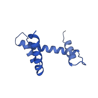 33174_7xfj_D_v1-0
Structure of nucleosome-AAG complex (T-50I, post-catalytic state)