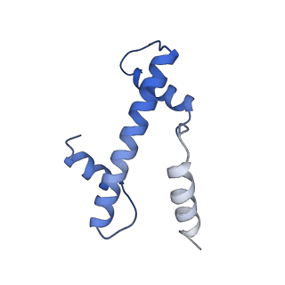 33174_7xfj_E_v1-0
Structure of nucleosome-AAG complex (T-50I, post-catalytic state)