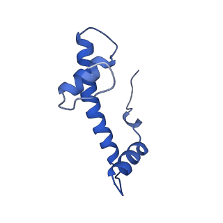 33174_7xfj_F_v1-0
Structure of nucleosome-AAG complex (T-50I, post-catalytic state)