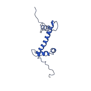 33174_7xfj_G_v1-0
Structure of nucleosome-AAG complex (T-50I, post-catalytic state)