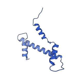 33175_7xfl_A_v1-1
Structure of nucleosome-AAG complex (A-53I, free state)