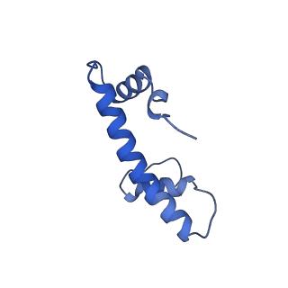 33175_7xfl_B_v1-1
Structure of nucleosome-AAG complex (A-53I, free state)