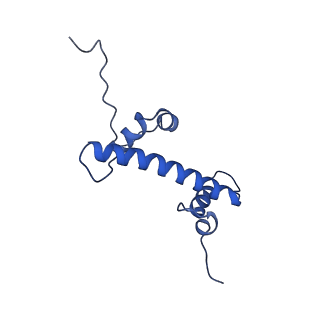 33175_7xfl_C_v1-1
Structure of nucleosome-AAG complex (A-53I, free state)