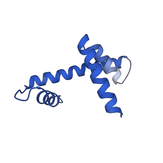 33175_7xfl_D_v1-1
Structure of nucleosome-AAG complex (A-53I, free state)