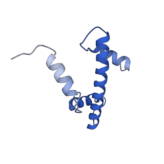 33175_7xfl_E_v1-1
Structure of nucleosome-AAG complex (A-53I, free state)
