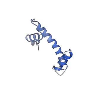 33175_7xfl_F_v1-1
Structure of nucleosome-AAG complex (A-53I, free state)