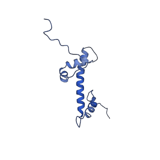 33175_7xfl_G_v1-1
Structure of nucleosome-AAG complex (A-53I, free state)