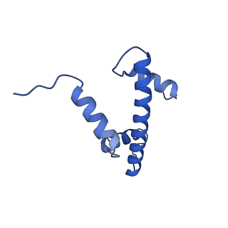 33176_7xfm_A_v1-1
Structure of nucleosome-AAG complex (A-53I, post-catalytic state)