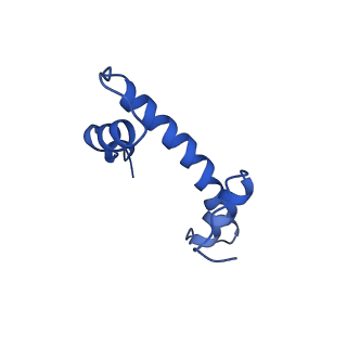 33176_7xfm_B_v1-1
Structure of nucleosome-AAG complex (A-53I, post-catalytic state)