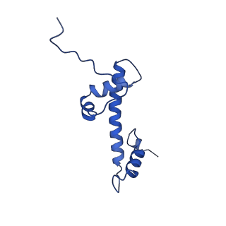 33176_7xfm_C_v1-1
Structure of nucleosome-AAG complex (A-53I, post-catalytic state)