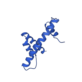 33176_7xfm_D_v1-1
Structure of nucleosome-AAG complex (A-53I, post-catalytic state)