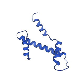 33176_7xfm_E_v1-1
Structure of nucleosome-AAG complex (A-53I, post-catalytic state)