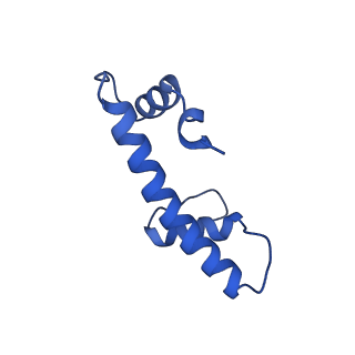 33176_7xfm_F_v1-1
Structure of nucleosome-AAG complex (A-53I, post-catalytic state)