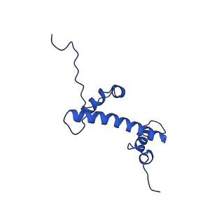 33176_7xfm_G_v1-1
Structure of nucleosome-AAG complex (A-53I, post-catalytic state)