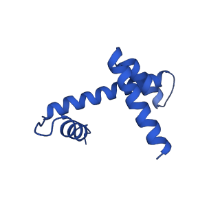 33176_7xfm_H_v1-1
Structure of nucleosome-AAG complex (A-53I, post-catalytic state)
