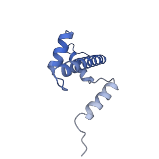 33177_7xfn_A_v1-1
Structure of nucleosome-DI complex (-55I, Apo state)