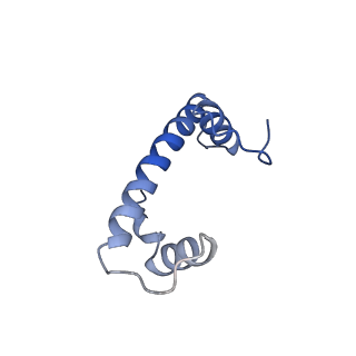 33177_7xfn_B_v1-1
Structure of nucleosome-DI complex (-55I, Apo state)