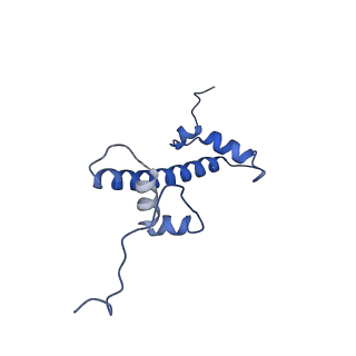 33177_7xfn_C_v1-1
Structure of nucleosome-DI complex (-55I, Apo state)