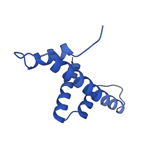 33177_7xfn_D_v1-1
Structure of nucleosome-DI complex (-55I, Apo state)