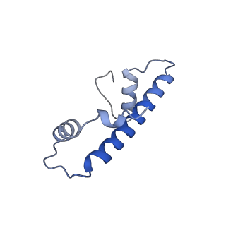 33177_7xfn_F_v1-1
Structure of nucleosome-DI complex (-55I, Apo state)