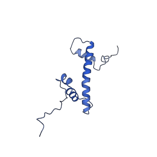33177_7xfn_G_v1-1
Structure of nucleosome-DI complex (-55I, Apo state)