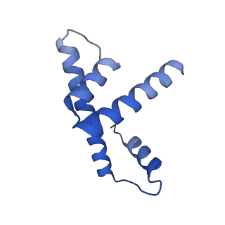 33177_7xfn_H_v1-1
Structure of nucleosome-DI complex (-55I, Apo state)