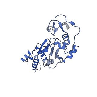 33180_7xfz_A_v1-0
CryoEM structure of type IV-A Csf-crRNAsp14-dsDNA ternary complex