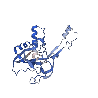 33180_7xfz_B_v1-0
CryoEM structure of type IV-A Csf-crRNAsp14-dsDNA ternary complex