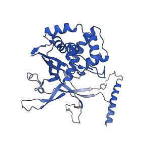 33180_7xfz_C_v1-0
CryoEM structure of type IV-A Csf-crRNAsp14-dsDNA ternary complex