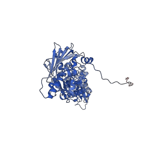 22174_6xg6_A_v1-2
Full-length human mitochondrial Hsp90 (TRAP1) with ADP-BeF3