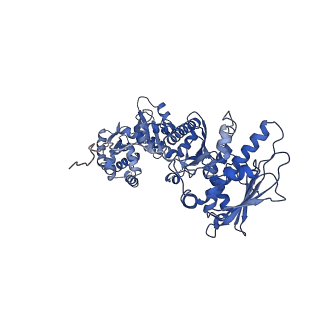 22174_6xg6_B_v1-1
Full-length human mitochondrial Hsp90 (TRAP1) with ADP-BeF3