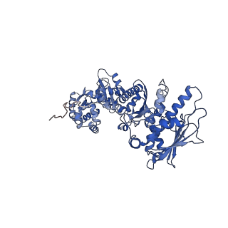 22174_6xg6_B_v1-2
Full-length human mitochondrial Hsp90 (TRAP1) with ADP-BeF3