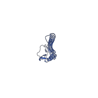 22180_6xgc_B_v1-1
CryoEM structure of influenza hemagglutinin A/Michigan/45/2015 in complex with cyno antibody 1C4