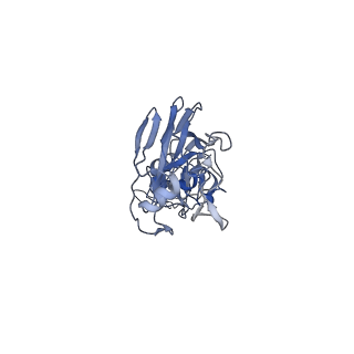 22180_6xgc_C_v1-1
CryoEM structure of influenza hemagglutinin A/Michigan/45/2015 in complex with cyno antibody 1C4