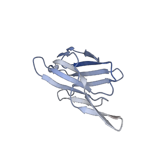 22180_6xgc_I_v1-1
CryoEM structure of influenza hemagglutinin A/Michigan/45/2015 in complex with cyno antibody 1C4