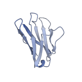 22180_6xgc_J_v1-1
CryoEM structure of influenza hemagglutinin A/Michigan/45/2015 in complex with cyno antibody 1C4