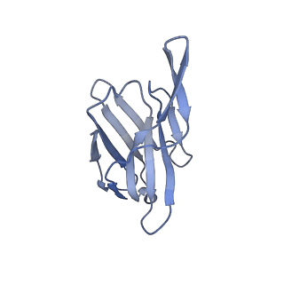 22180_6xgc_M_v1-1
CryoEM structure of influenza hemagglutinin A/Michigan/45/2015 in complex with cyno antibody 1C4