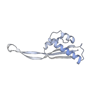 22181_6xgf_1_v1-2
Escherichia coli transcription-translation complex B (TTC-B) containing an 30 nt long mRNA spacer, NusG, and fMet-tRNAs at E-site and P-site