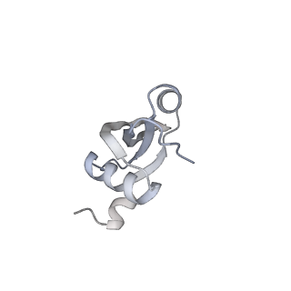 22181_6xgf_2_v1-2
Escherichia coli transcription-translation complex B (TTC-B) containing an 30 nt long mRNA spacer, NusG, and fMet-tRNAs at E-site and P-site