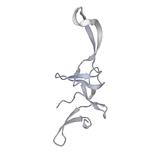22181_6xgf_3_v1-2
Escherichia coli transcription-translation complex B (TTC-B) containing an 30 nt long mRNA spacer, NusG, and fMet-tRNAs at E-site and P-site