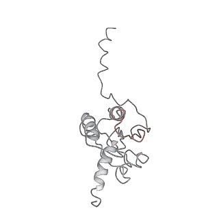 22181_6xgf_9_v1-2
Escherichia coli transcription-translation complex B (TTC-B) containing an 30 nt long mRNA spacer, NusG, and fMet-tRNAs at E-site and P-site