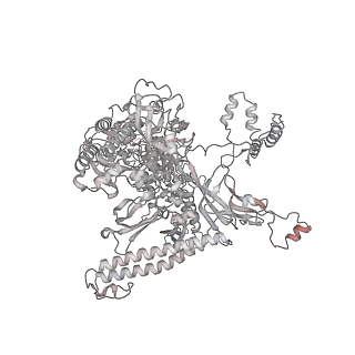 22181_6xgf_AA_v1-2
Escherichia coli transcription-translation complex B (TTC-B) containing an 30 nt long mRNA spacer, NusG, and fMet-tRNAs at E-site and P-site