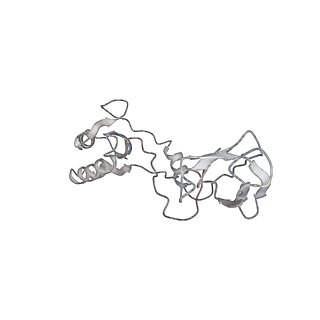 22181_6xgf_AB_v1-2
Escherichia coli transcription-translation complex B (TTC-B) containing an 30 nt long mRNA spacer, NusG, and fMet-tRNAs at E-site and P-site