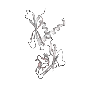22181_6xgf_AC_v1-2
Escherichia coli transcription-translation complex B (TTC-B) containing an 30 nt long mRNA spacer, NusG, and fMet-tRNAs at E-site and P-site