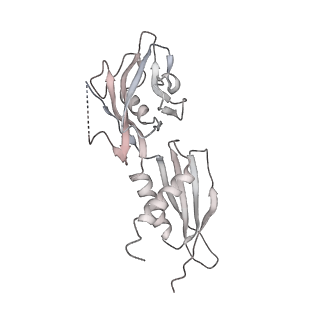 22181_6xgf_AD_v1-2
Escherichia coli transcription-translation complex B (TTC-B) containing an 30 nt long mRNA spacer, NusG, and fMet-tRNAs at E-site and P-site