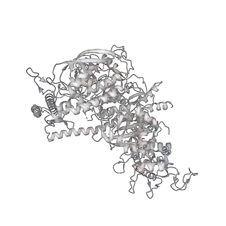22181_6xgf_AE_v1-2
Escherichia coli transcription-translation complex B (TTC-B) containing an 30 nt long mRNA spacer, NusG, and fMet-tRNAs at E-site and P-site