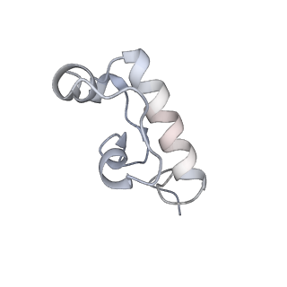 22181_6xgf_C_v1-2
Escherichia coli transcription-translation complex B (TTC-B) containing an 30 nt long mRNA spacer, NusG, and fMet-tRNAs at E-site and P-site