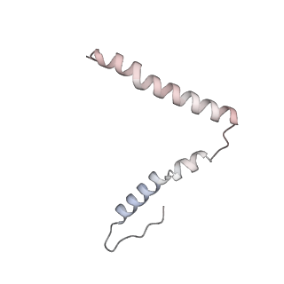 22181_6xgf_F_v1-2
Escherichia coli transcription-translation complex B (TTC-B) containing an 30 nt long mRNA spacer, NusG, and fMet-tRNAs at E-site and P-site